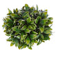 7" PRIVET Greenery Ball