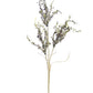 34" Dried Amaranthus Spray, Brown Green