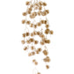 30" Shiny Allium Vine, Champ