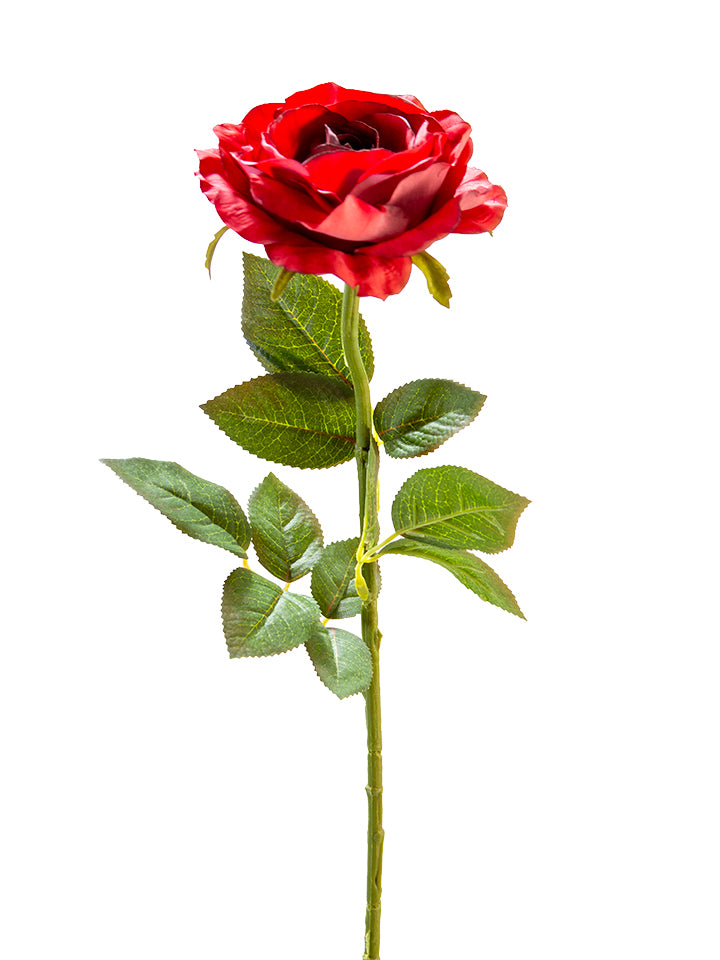 28" Rose Stem, Burgandy