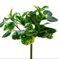 Artificial green plant with variegated leaves on a white background