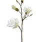 32" Frosted Magnolia Spray, Cream