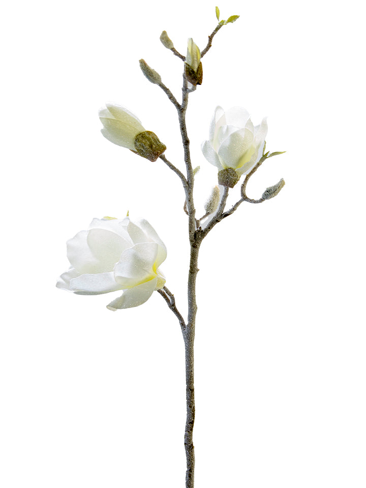 32" Frosted Magnolia Spray, Cream