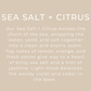 Sea Salt + Citrus - 4 oz Black Glass Linen Spray