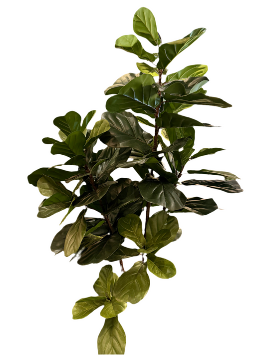 6’ Real Touch Fiddle Leaf Fig Tree