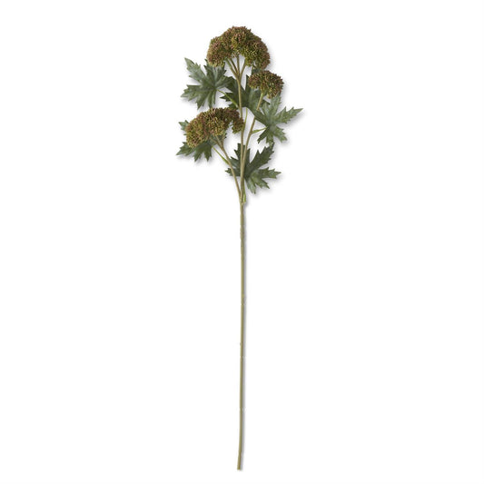 28" Dark Green Sedum Stem