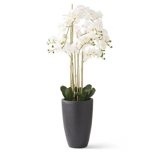 49.5" Real Touch White Phalaenopsis Orchid