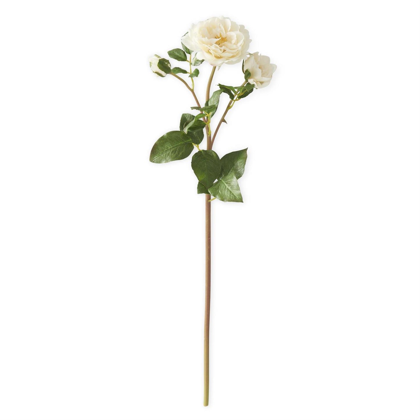 20" Real Touch Distant Drums Rose Spray, Cream