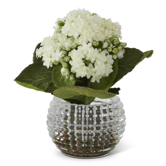 White Kalanchoe Premade Floral