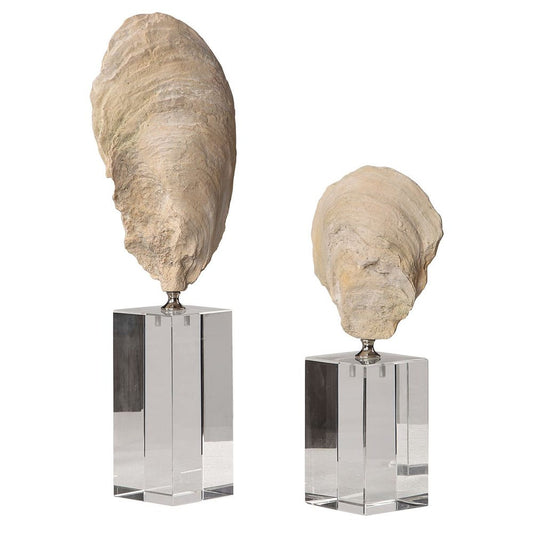 Oyster Shell Sculptures (Various Sizes)