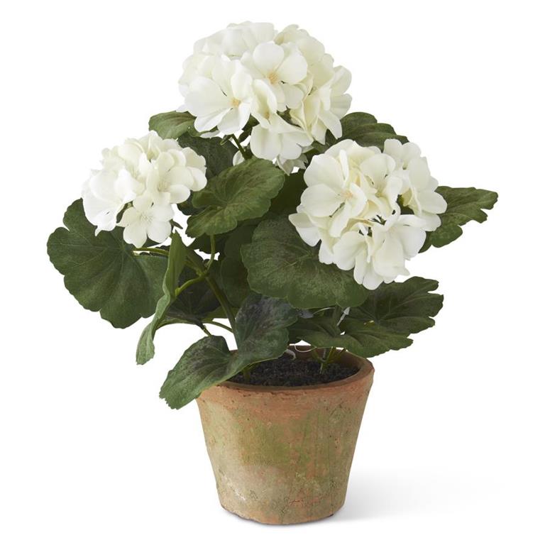 Plants & Potted Items
