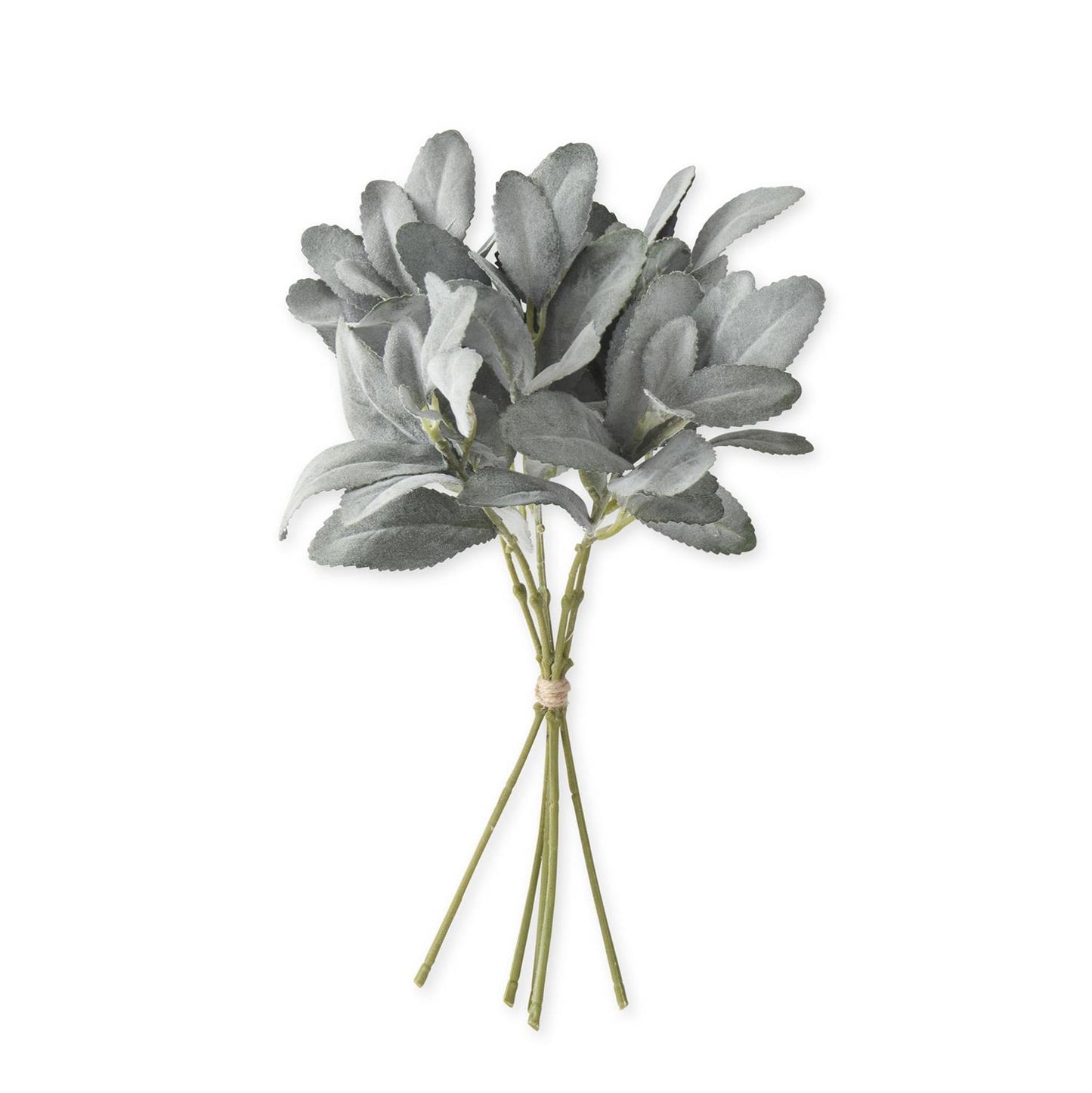 14" Lambs Ear Bundle, Dark Green