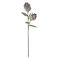 39" Purple/Green Eva Two Bloom Stem