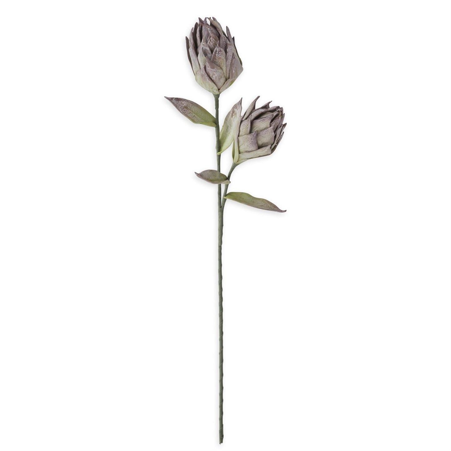 39" Purple/Green Eva Two Bloom Stem