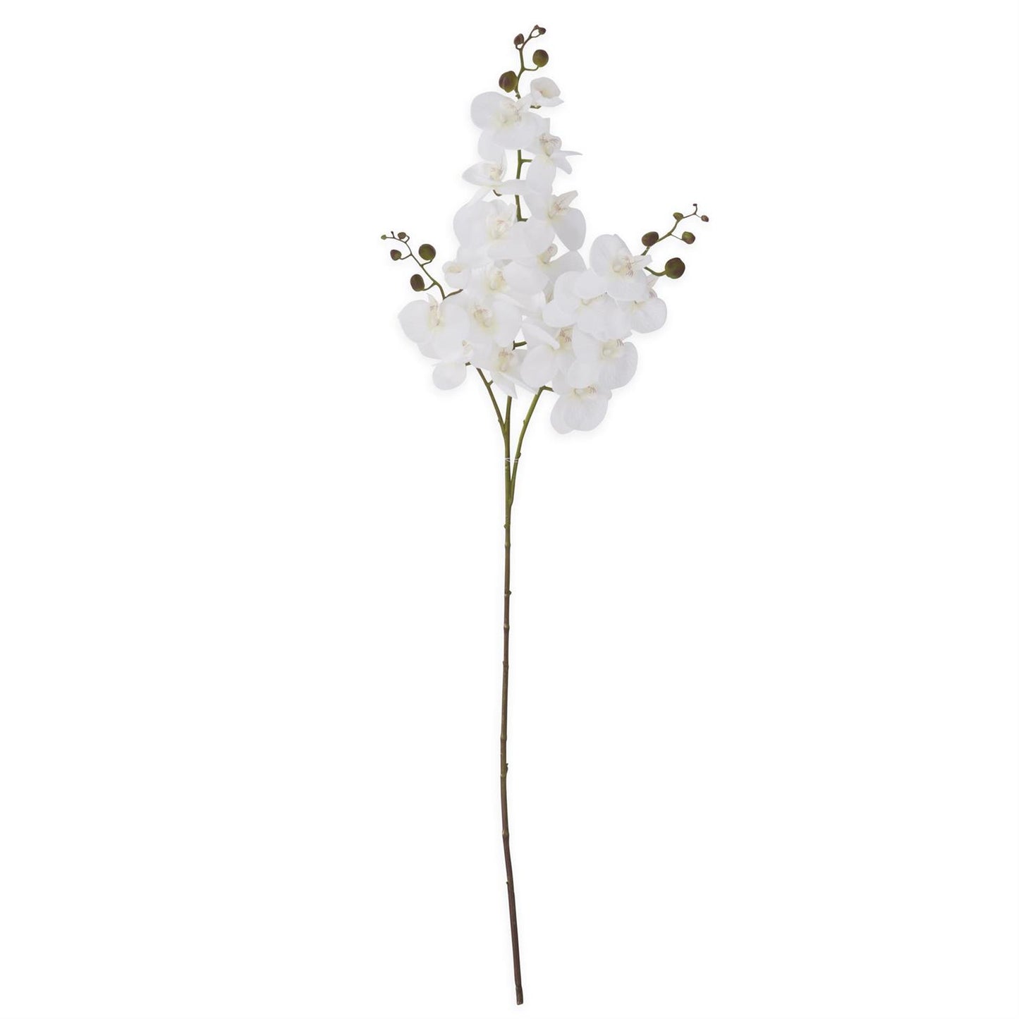 47" White Orchid Spray
