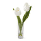 White Tulip in Acrylic Water