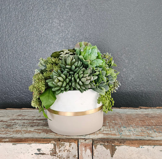 Assorted Succulents In Gold Striped Container