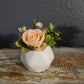 Light Pink Ranunculus Mini Sit Around