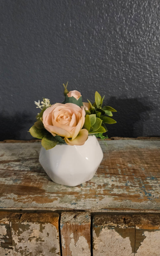 Light Pink Ranunculus Mini Sit Around