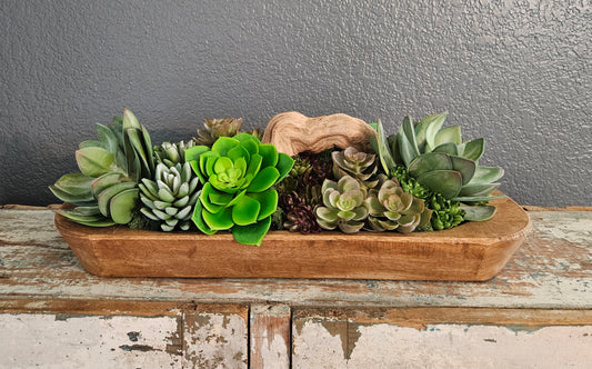 Succulent Doughbowl Arrangement