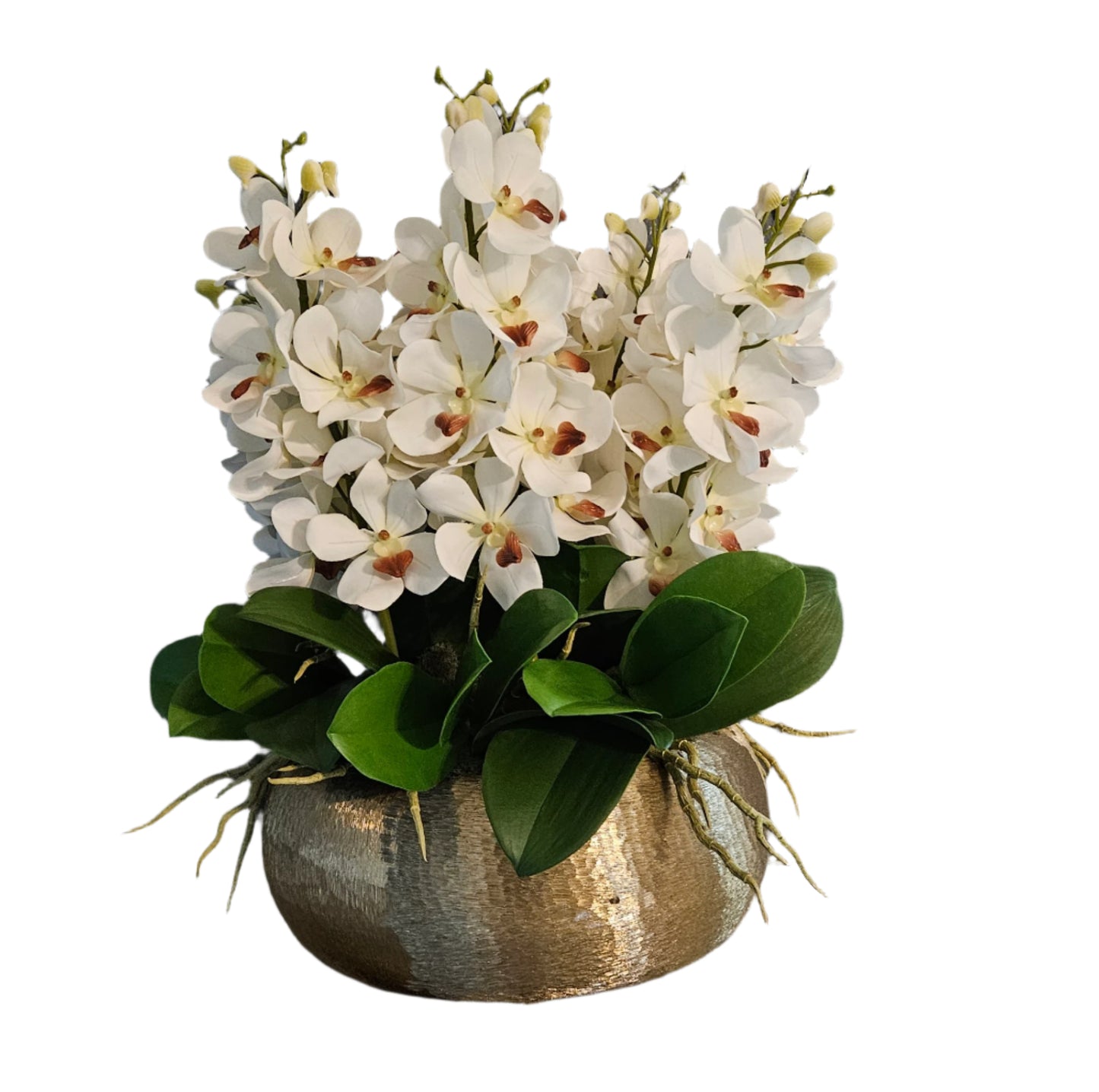 Vanda Orchid Arrangement