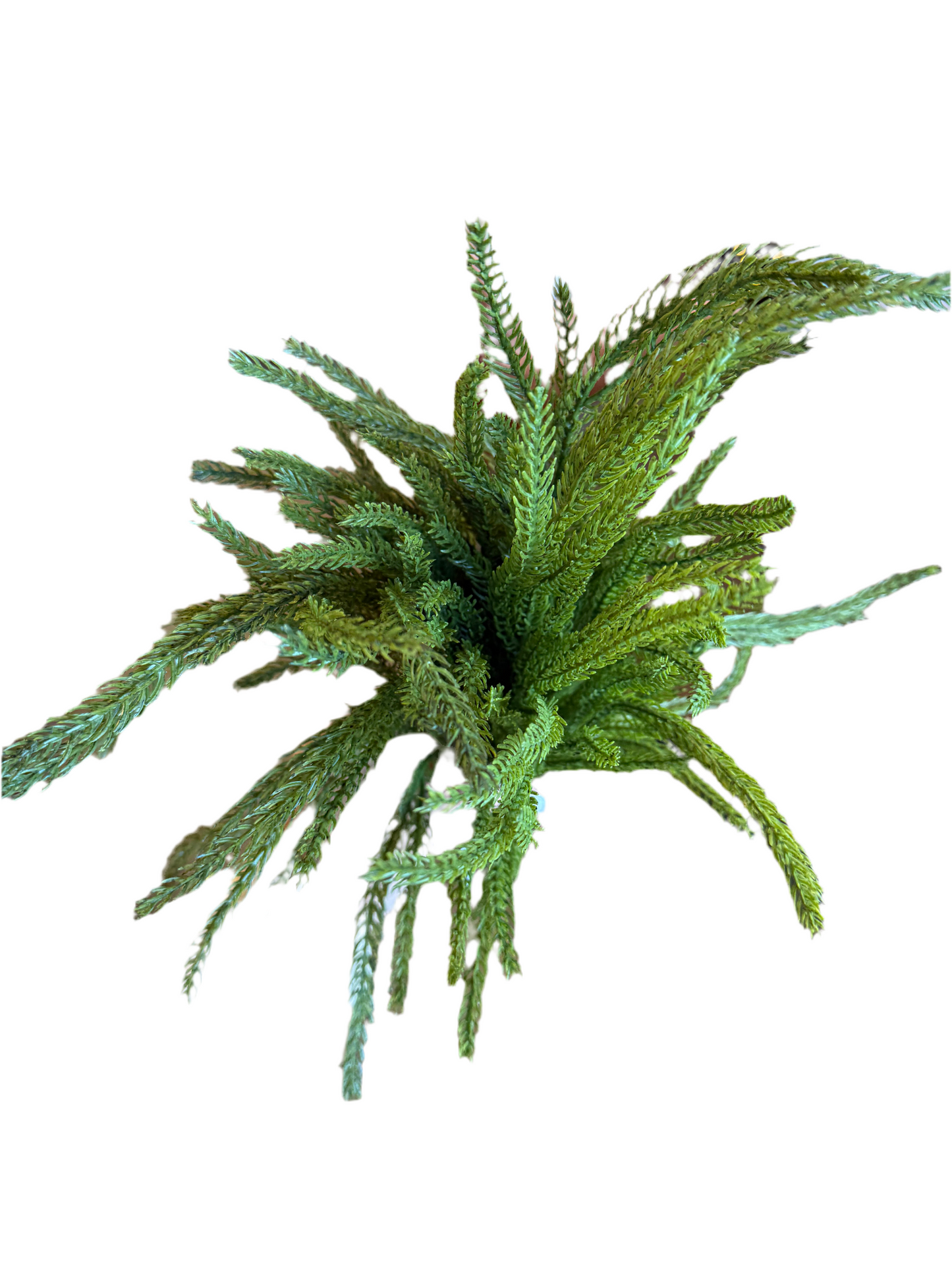 20" Norfolk Bundle, Dark Green