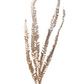 32" Fern Spray, Champagne