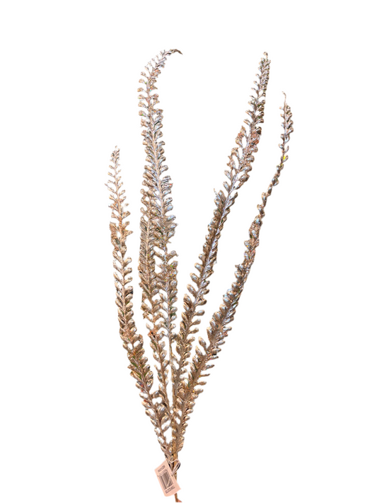32" Fern Spray, Champagne