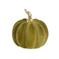 Green Velvet Pumpkin with Gold Stem