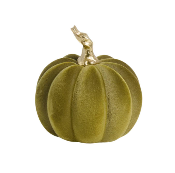 Green Velvet Pumpkin with Gold Stem