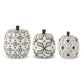 White & Black Star Patterned Pumpkin (Various Sizes)