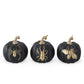 Insect Pumpkins (Various Styles)