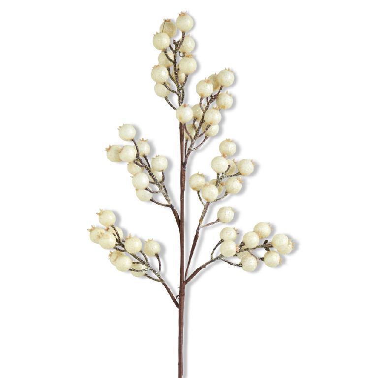 27" White Crackle Rosehip Stem
