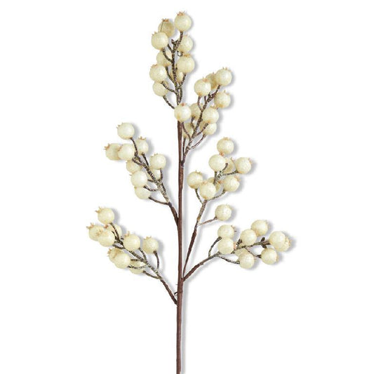 27" White Crackle Rosehip Stem