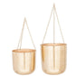 Golden Dome Hanging Planter (Various Sizes)