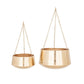 Golden Nest Hanging Planter (Various Sizes)
