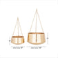 Golden Nest Hanging Planter (Various Sizes)