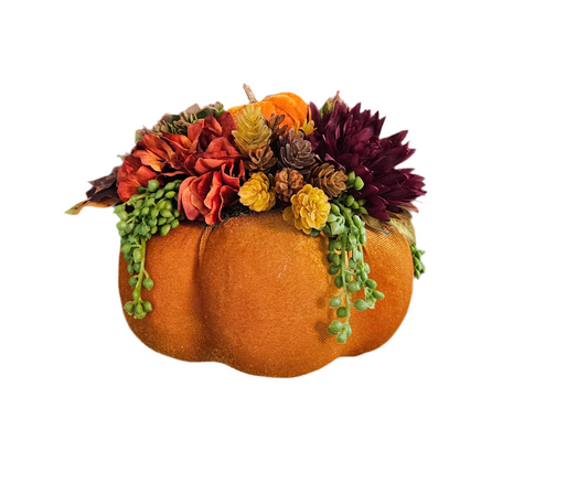Velvet Pumpkin Arrangement