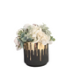 Cream Sit Around In Dripping Gold Container