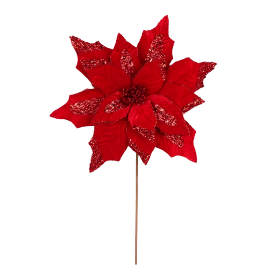 22" Velvet/Glitter Poinsettia, Cranberry