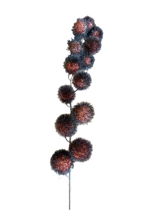 31" Orange/Black Billy Ball Spray