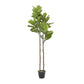 Green Fiddle Leaf Artificial Tree