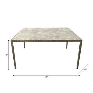 Blakecliff Silver Coffee Table 18"