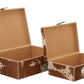 Set of 2 Brown Leather Cowhide Boxes