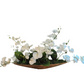 Orchid Arrangement #2