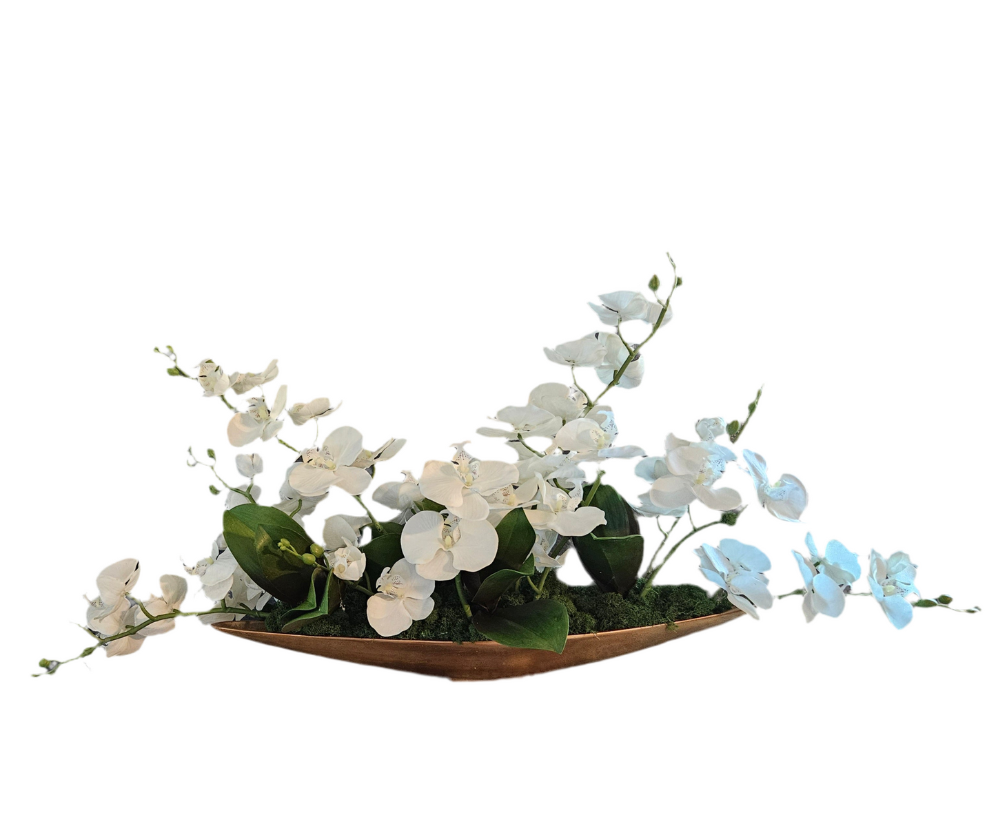 Orchid Arrangement #2