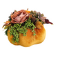 Velvet Pumpkin Arrangement