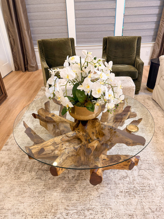 Live Edge Teak Root Coffee Table