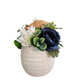 Blue Ranunculus Sit Around