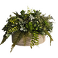 Large Assorted Greenery in Round Container